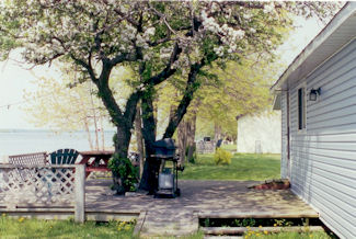 Large deck, BBQ