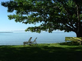 View of the Lake